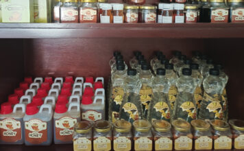 Kisah Inspiratif Talitha Talitha-Group