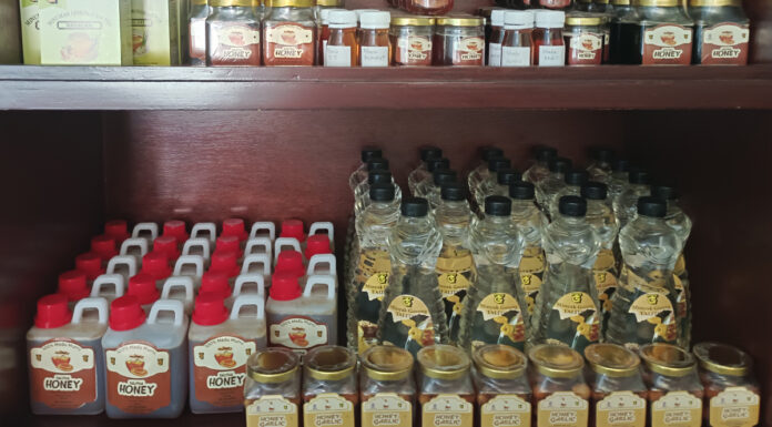 Kisah Inspiratif Talitha Talitha-Group