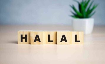 UMKM Bingung: Hambatan dan Solusi Pengurusan Sertifikat Halal bagi Usaha Kecil UMKM Bingung: Hambatan dan Solusi Pengurusan Sertifikat Halal bagi Usaha Kecil