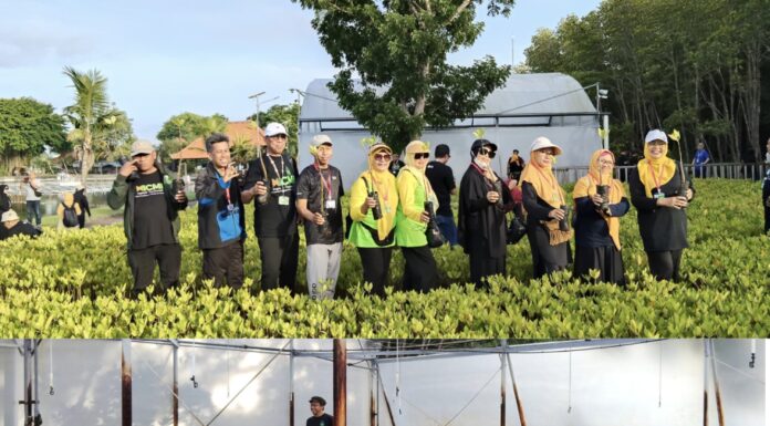 Day 3 : Aksi Sosial Peduli Lingkungan Magrove Oleh Peserta SILAKNAS ICMI 2025