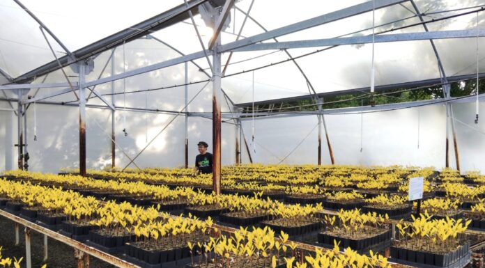 Ketua CIDES Bali Telah Membentuk Tim Penelitian Distribusi Pupuk dan Obat-obatan Pertanian