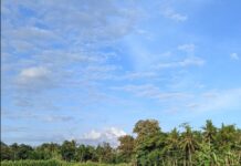 Transformasi Bisnis Talitha Group Menuju Pertumbuhan Berkelanjutan Lewat Pupuk Cair Organik