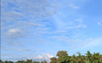 Transformasi Bisnis Talitha Group Menuju Pertumbuhan Berkelanjutan Lewat Pupuk Cair Organik