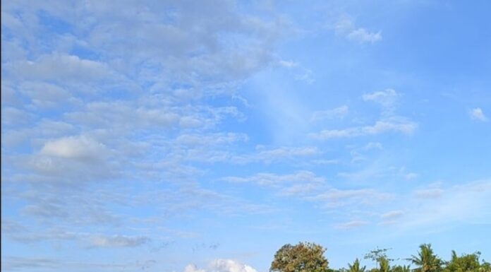 Transformasi Bisnis Talitha Group Menuju Pertumbuhan Berkelanjutan Lewat Pupuk Cair Organik