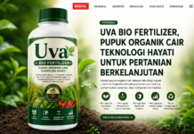 UVA BIO FERTILIZER, INOVASI PUPUK ORGANIK CAIR TEKNOLOGI HAYATI UNTUK PERTANIAN BERKELANJUTAN